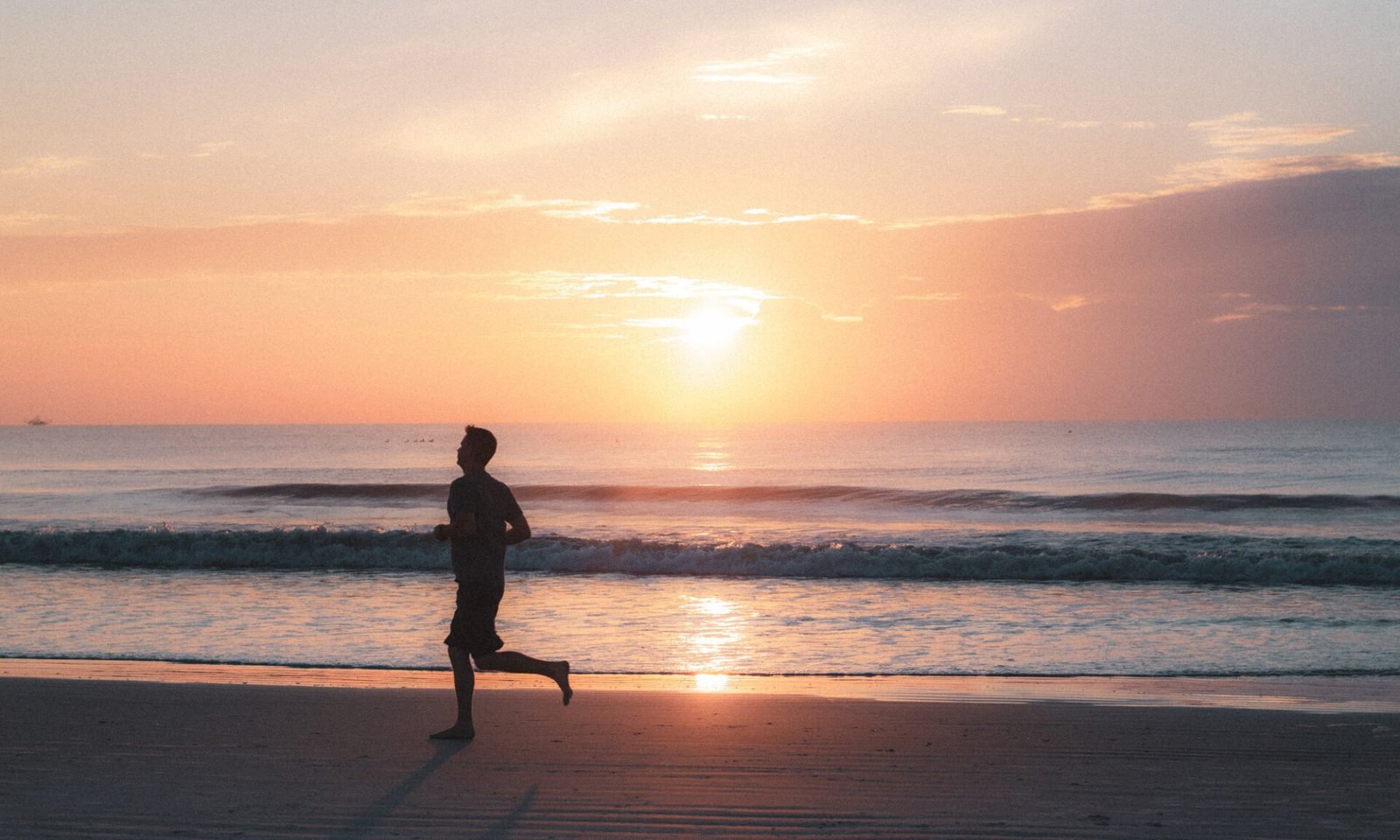 biza-exclusive-tour-wellness-private-transportation