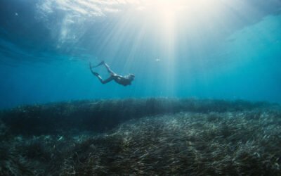 Ibiza Eco-Friendly: How to Enjoy Sustainable Tourism in Ibiza