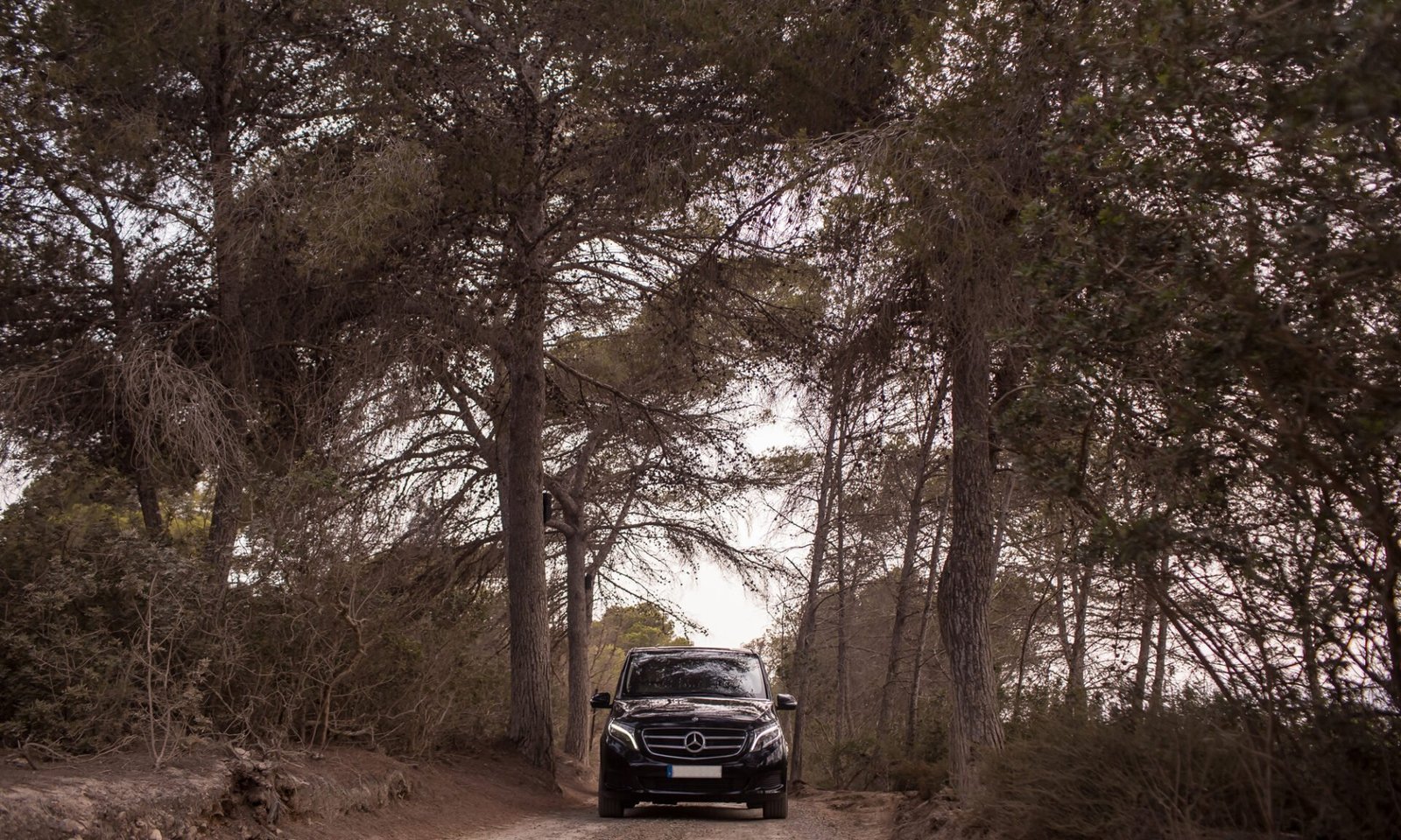 tres chicas guapas pie esperando a su transfer desde el aeropuerto de Ibiza