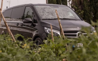 Sustainable management of private transfers in Ibiza